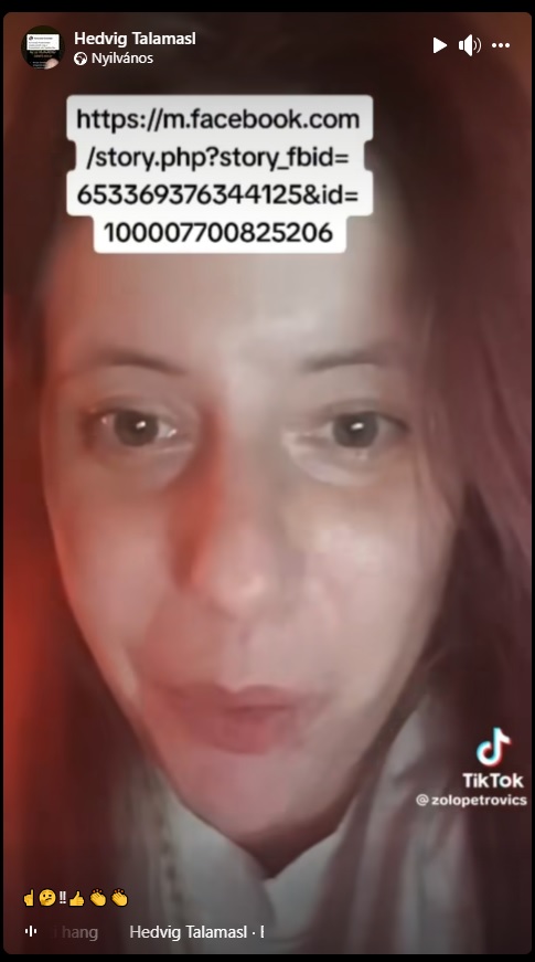 tiktok who.jpg